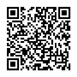 总理的提问更多的是针对整个宋州市乃至昌北地区的发展二维码生成