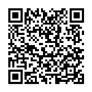 总觉得他们的操控有点玷污了他们心中神圣的机甲二维码生成