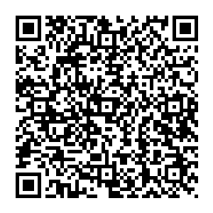 总觉得因为思娜圣女而让玄灵和星凡这两位来自于前十大种族的无上天骄亲自迎接有些说不过去了二维码生成