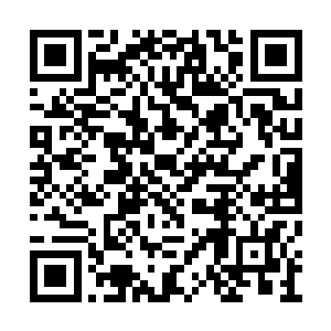 恍也经过两域冲融成新世界时两界树落叶层缓冲二维码生成