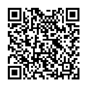 恐怕也还是可以轻轻松松干掉一位至尊强者的……二维码生成