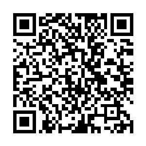 恐怕会认为极火王和杀生王都是在与古帝境的存在战斗二维码生成