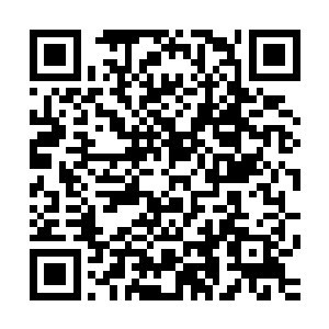 恐怕只有天符商行的族长落天羽这个天尊初期大修士出手才行二维码生成