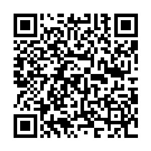 恐怕回去之后肯定会遭到那些戚家嫡系之人的报复和打击啊二维码生成