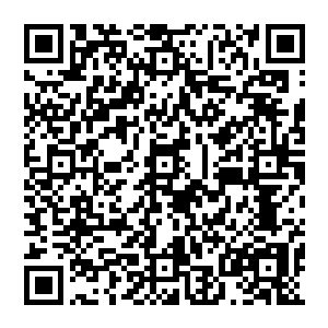 恐怕她做梦都不会想到她在这些下人眼里原来是如此的…如此的不堪…否则也不会如此糊弄她二维码生成