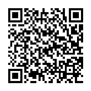 恐怕就连先生以及众子弟都不知你有这般可怕的本领呢二维码生成