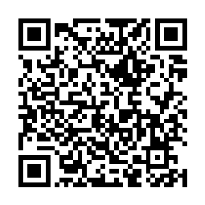 恐怕是整个寰宇天界的历史上出现的次数也是屈指可数二维码生成
