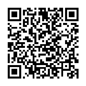 恐怕杨戬几个人会成为天武大陆死的最憋屈的几个人二维码生成