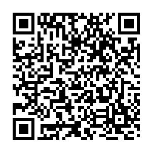 恐怕比之千年老僵尸的全力一击还要更加可怕……连黑水玄蛇都伤成这样二维码生成