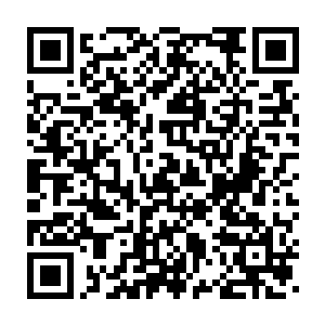 恐怕要是被他的爷爷知道的话他的爷爷会立马劈了他然后到龙家去谢罪二维码生成