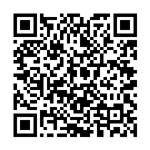 恐怕这帝宗中比他还要自由舒服的弟子已经找不到了二维码生成