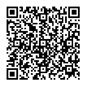 恐怕都只能翻白眼了――没想到一贯以高冷形象露面的伊布拉希莫维奇会这么无聊……二维码生成