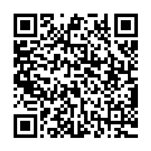 恐怖的攻击宛若狂风暴雨一般疯狂的朝着杨戬的身上席卷而去二维码生成