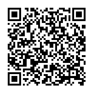 恩 准备的怎么样 若不是天险山脉被宿命之子打开 我也不会将你们召來……二维码生成