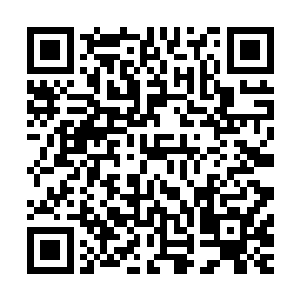 您……这要是真的把他给打坏了哪儿……那还不得背个处分啊二维码生成