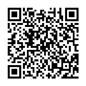您不会说您嘴里所说的这些垃圾亚神器都是您炼制的吧二维码生成