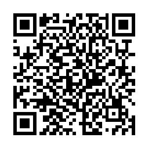 您不是……一开始踹我们进来的那位白发系统老爷爷么二维码生成