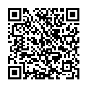 您到底是如何创造出捕捉到一条活的大白鲨的奇迹的二维码生成