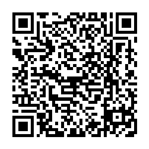 您帮她留意一个家世看上去花团锦簇的人选……只要是把这大小姐嫁出去二维码生成