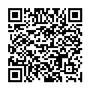您是说……我们潜龙堂里有人已经证实了那个猜想……二维码生成