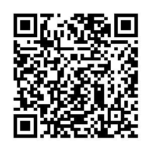 您该不会是破罐破摔吧……齐夫人和刘小喵我可都帮你安抚好了二维码生成