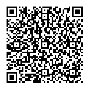 情不自禁跟着读了起来……若不然她只有小学二三年级的文凭又如何在S省找到一份那些大学生都艳羡的工作二维码生成