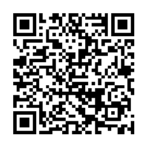 惊讶地看着这些域内修士效忠在一个年轻的飞升女修面前二维码生成