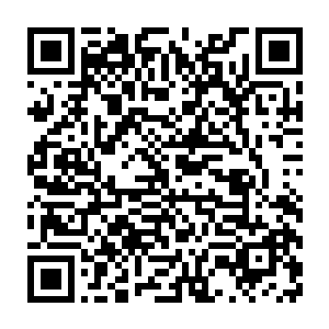 惨叫声和咀嚼声也开始不断从那纠缠在一起的血云和虫云之中传出二维码生成
