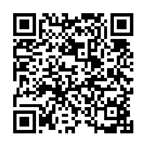 想以二十万的价格将红牡丹夜总会从原来老板的手中买下来二维码生成