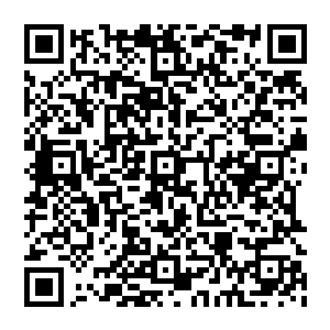 想來这劳什子招安必定沒有什么好心一旦自己答应跟随对方进入皇城那么迎接自己的绝对不是什么好果子二维码生成