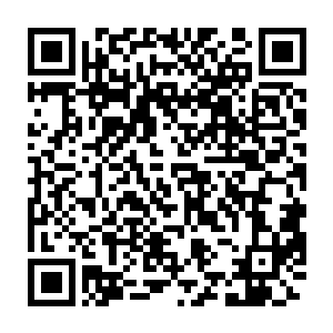 想到上次回家自己特地通过战友弄到手的半只猪和数十斤腊肉香肠二维码生成