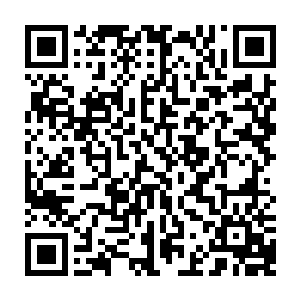 想到此处　他眼一闭　抬手一挥　柔和的光幕包裹着血魔晶　纷纷涌入他的体内二维码生成