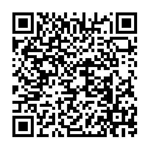 想到的却是自己在家中看到黛玻菈浑身上下只裹了一条浴巾的画面二维码生成