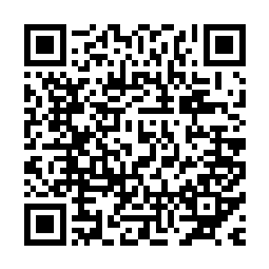 想到自己如果得了小主人的宠爱……两只小霸王龙会更生气吧二维码生成