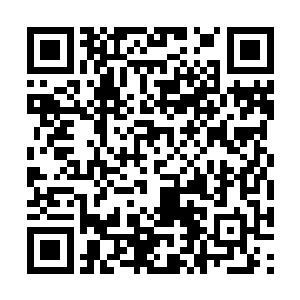 想到这一路上确实只遇见了武功普通的黑衣人阻拦二维码生成