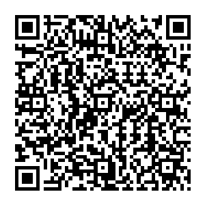 想引诱敌人过去然后来个反手一击什么的……有所防备的他也完全可以在对招的刹那立刻收手二维码生成