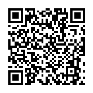 想当初他们几个混在一起的时候那实力真是蹭蹭地往上涨二维码生成