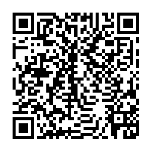 想来也是岭主弄出来的给他们这些没有天赋根没有什么战斗力的废物族人们用的二维码生成