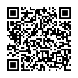 想要完完全全的掌握苏南市的地下秩序只怕也没有那么容易二维码生成
