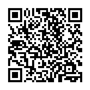 想要简单地把这个新晋的一流家族糊弄过去行不通啊二维码生成