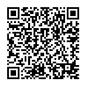 想起前几日自己从宫外回来正好碰上墨景黎从皇上寝殿里出来的事情二维码生成