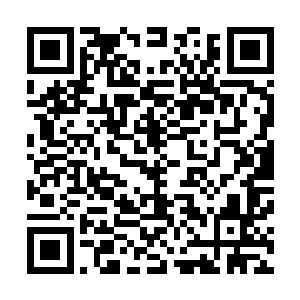 想起自家和曹荣在大宋新开辟的土地建昌府和东川郡的生意二维码生成