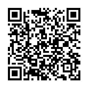感叹着天道刚才所说的那个计划简直就是闹鬼的计划二维码生成