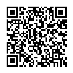 感觉青脉和道门博弈真是水深到世界每个角落了二维码生成