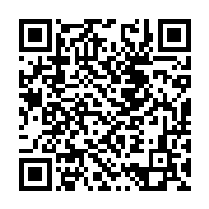 慌忙将这本摆放在传说传记书架上的古籍拿了下来二维码生成