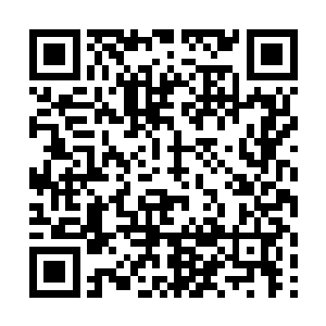 慕公子一行人去追……然后……然后我就回家了……二维码生成
