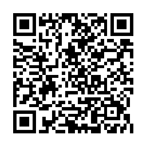 慕容仙儿就借着手中浮动的力量切下了一片不死二维码生成