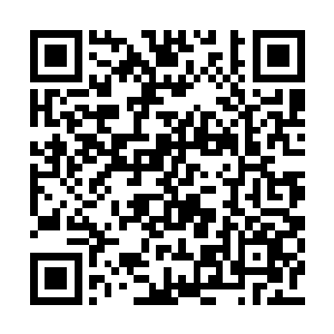 慕容仙儿手中的角魔鞭已经已经隐隐浮动着灵光二维码生成