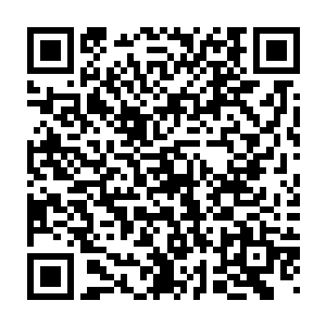 慕容家族的两位老祖和云梦之境的四位始祖中的三位已经是交上了手二维码生成