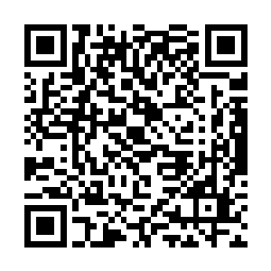慕容玥与宸王两人看着面前的东方青妍与赤焰的互动二维码生成